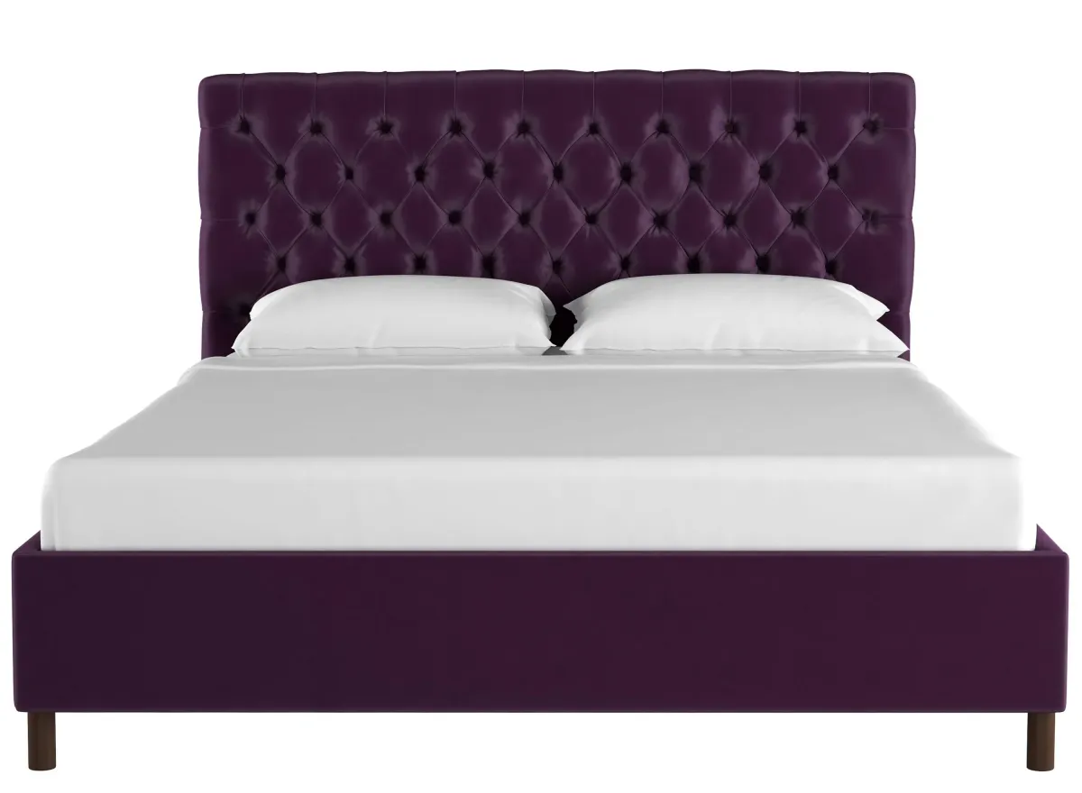 Queensbury Platform Bed in Velvet Aubergine by Skyline