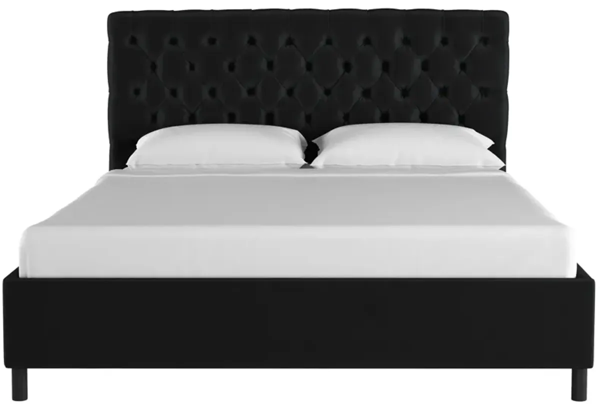 Queensbury Platform Bed in Velvet Black by Skyline