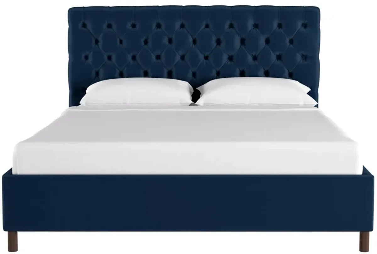 Queensbury Platform Bed in Velvet Navy by Skyline