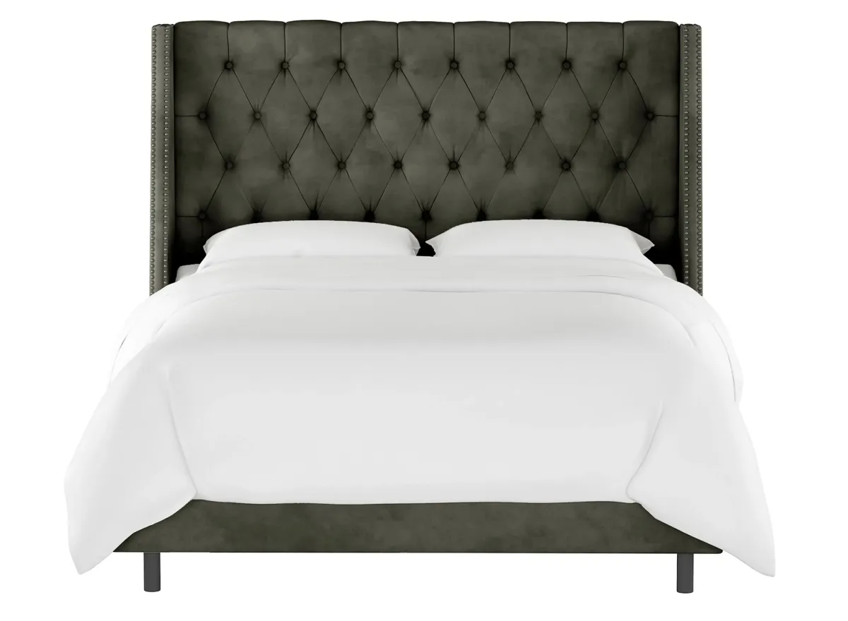 Sheridan Wingback Bed in Velvet Pewter by Skyline