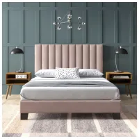 Colbie 3-pc. Upholstered Platform Bedroom Set in Blush by Elements International Group