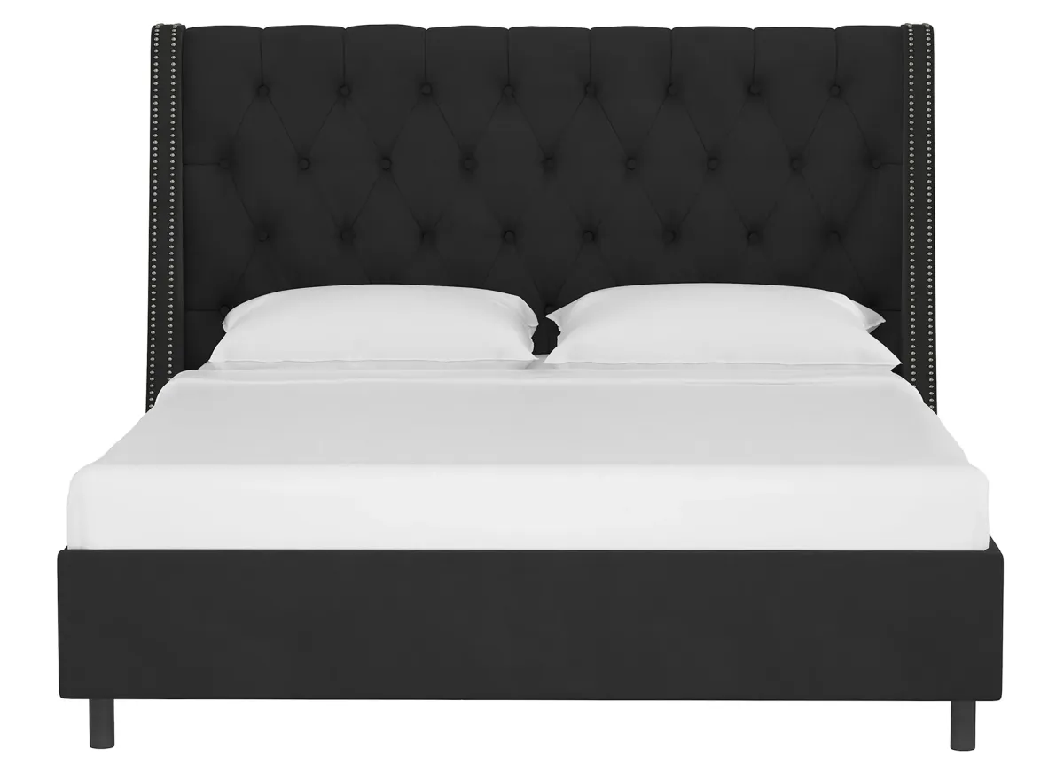 Sheridan Wingback Platform Bed in Velvet Black by Skyline