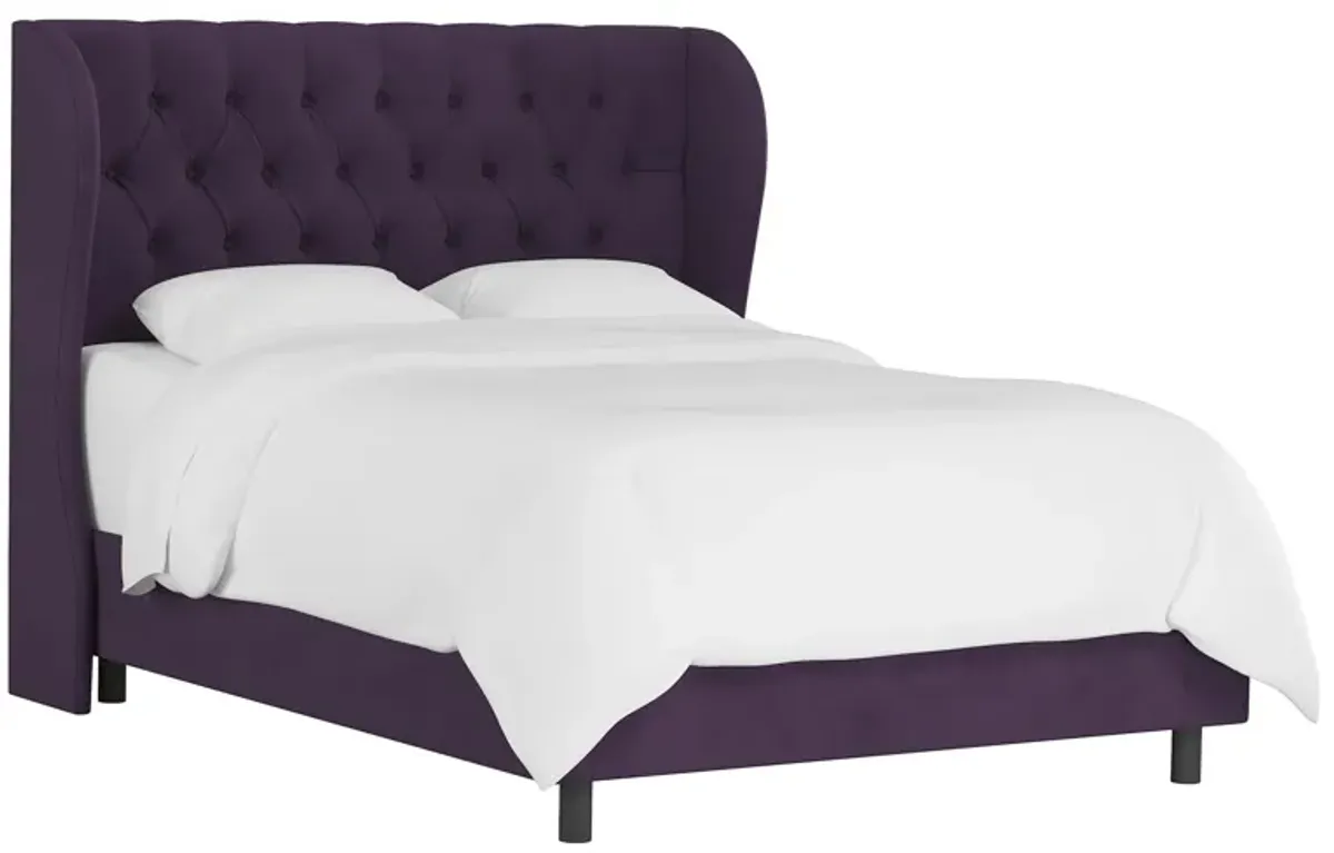 Thayer Wingback Bed in Velvet Aubergine by Skyline