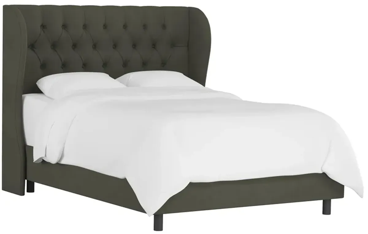 Thayer Wingback Bed in Velvet Pewter by Skyline