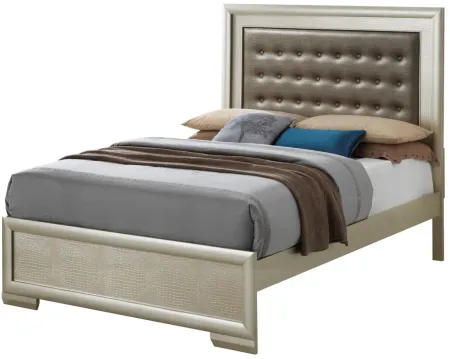 Kat Panel Bed in Champagne by Glory Furniture