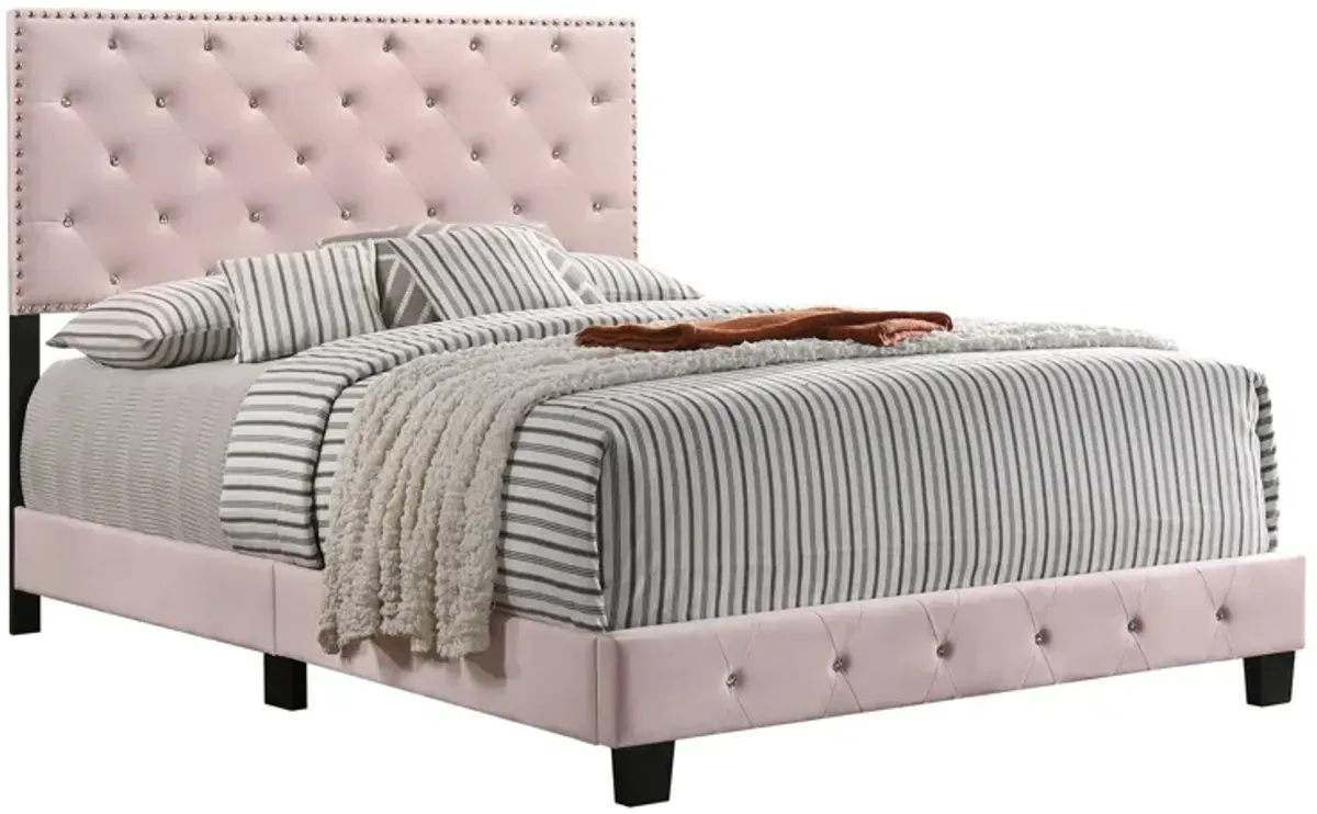 Suffolk Upholstered Panel Bed in Pink by Glory Furniture