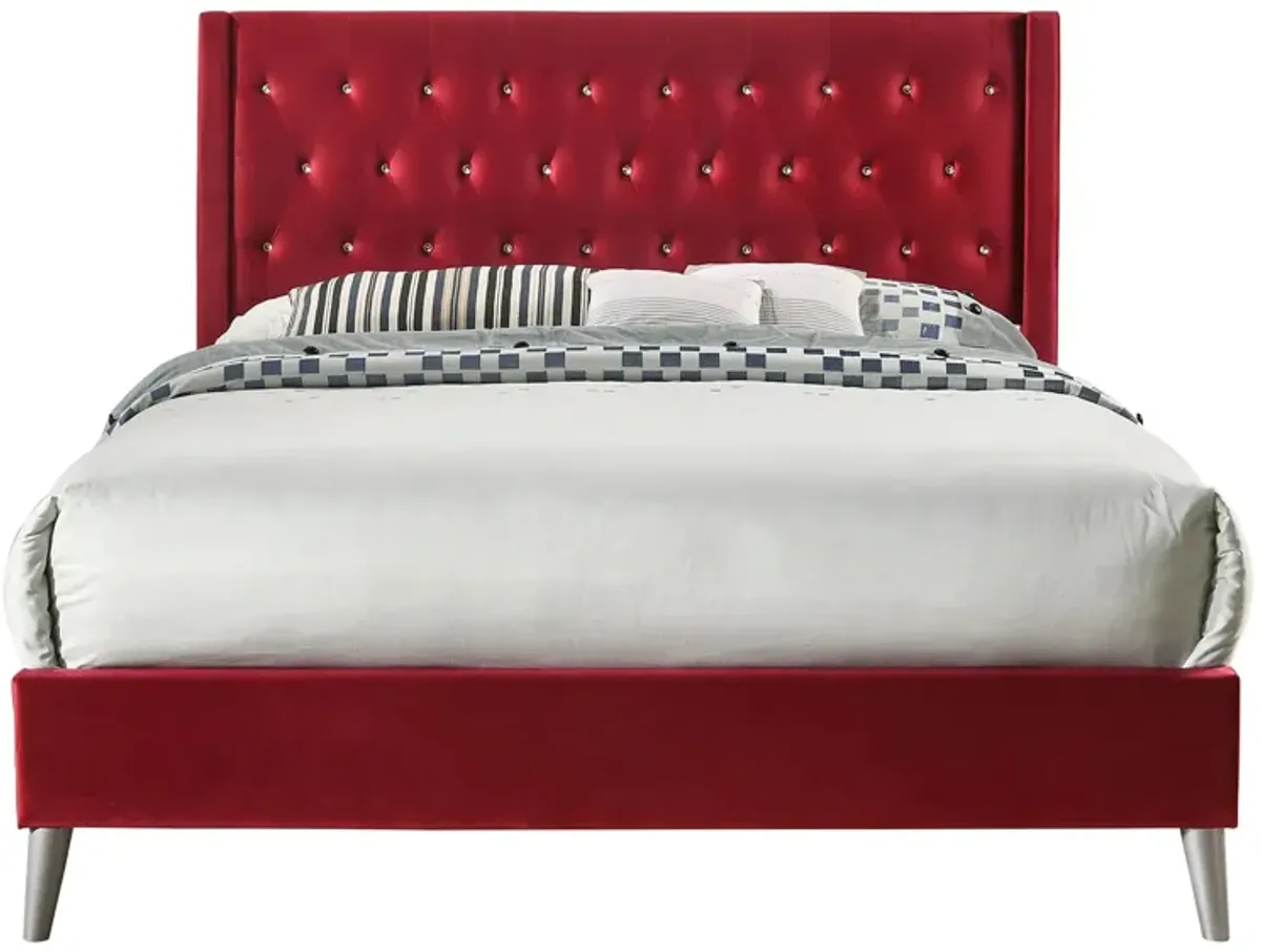 Bergen Upholstered Panel Bed in Burgundy by Glory Furniture