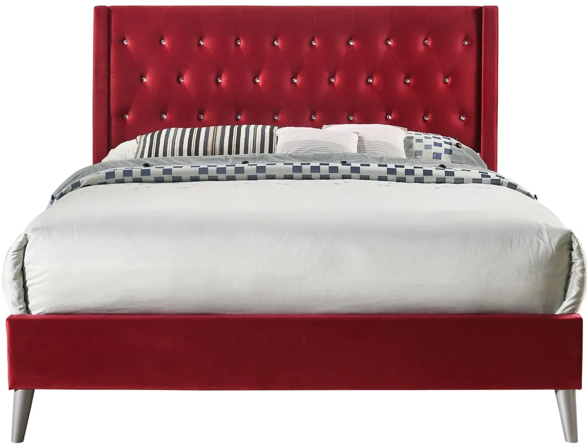 Bergen Upholstered Panel Bed in Burgundy by Glory Furniture