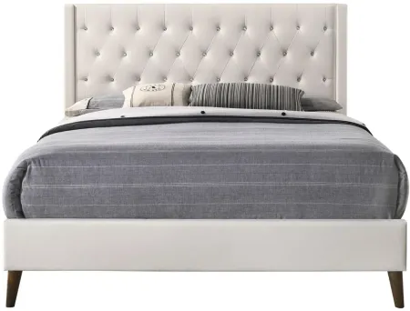 Bergen Upholstered Panel Bed in White by Glory Furniture
