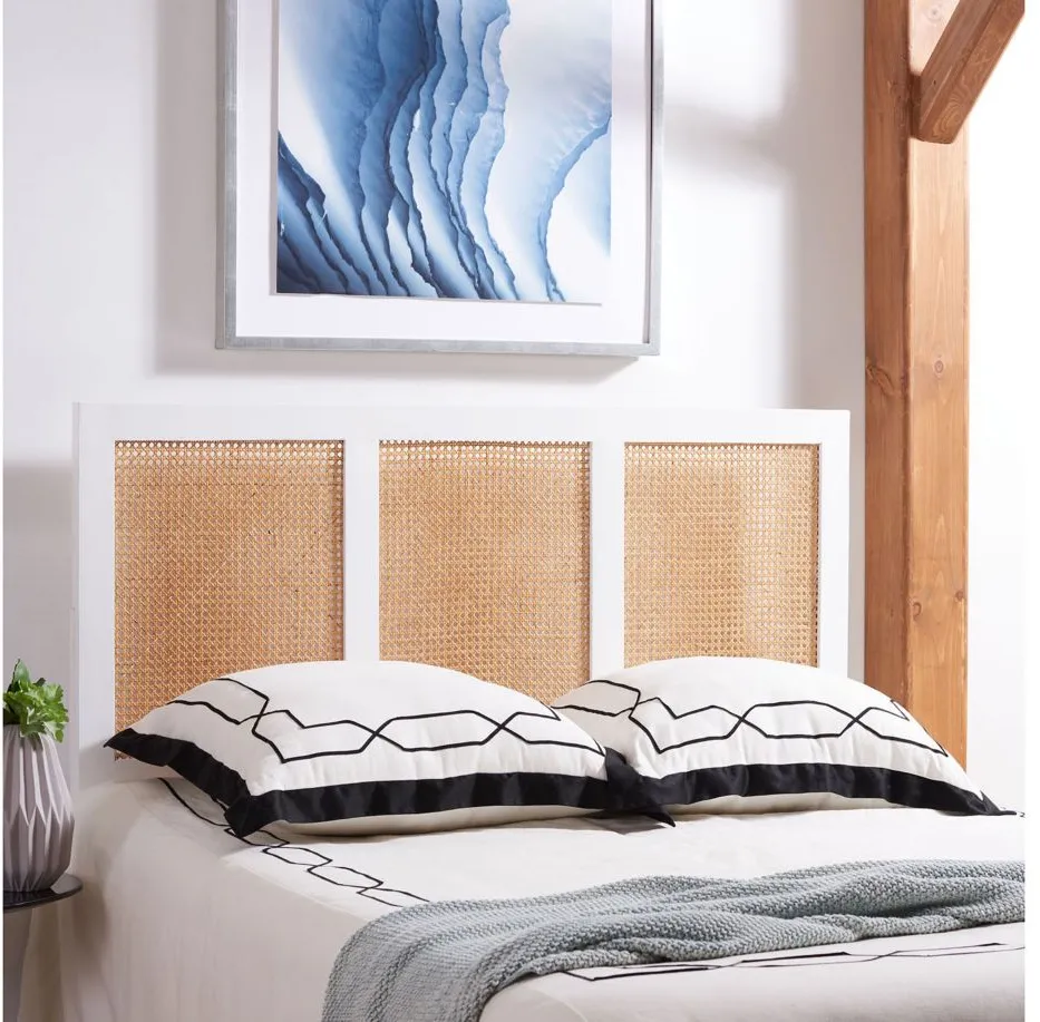 Vienna Cane Mounted Headboard in White Wash by Safavieh