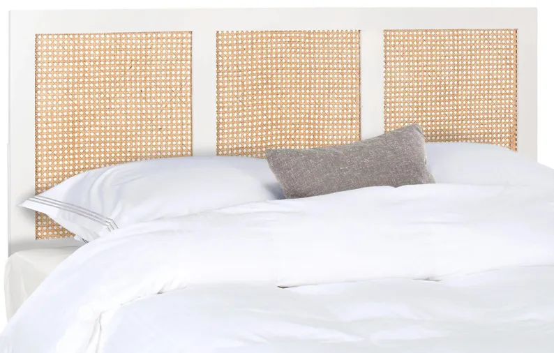 Vienna Cane Mounted Headboard in White Wash by Safavieh