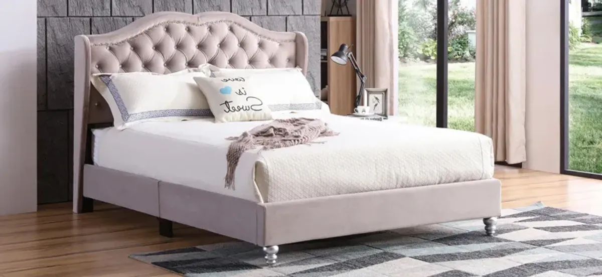 Joy Upholstered Panel Bed