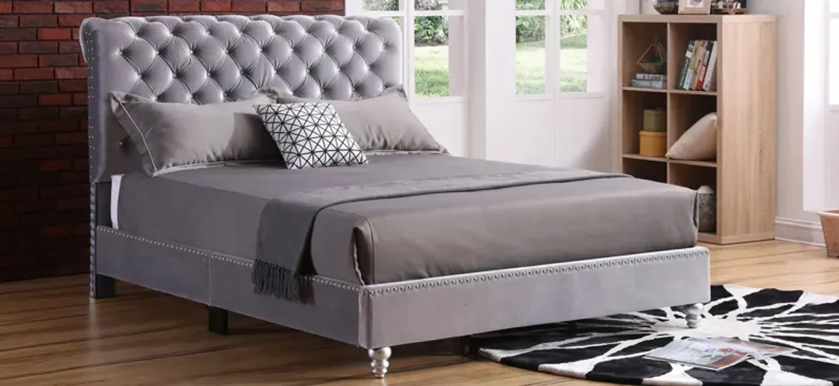 Maxx Upholstered Sleigh Bed