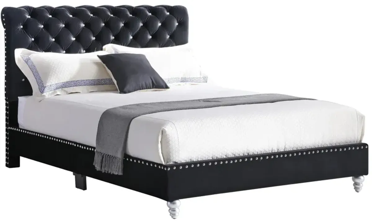 Maxx Upholstered Sleigh Bed