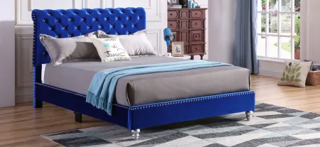 Maxx Upholstered Sleigh Bed in Navy Blue by Glory Furniture