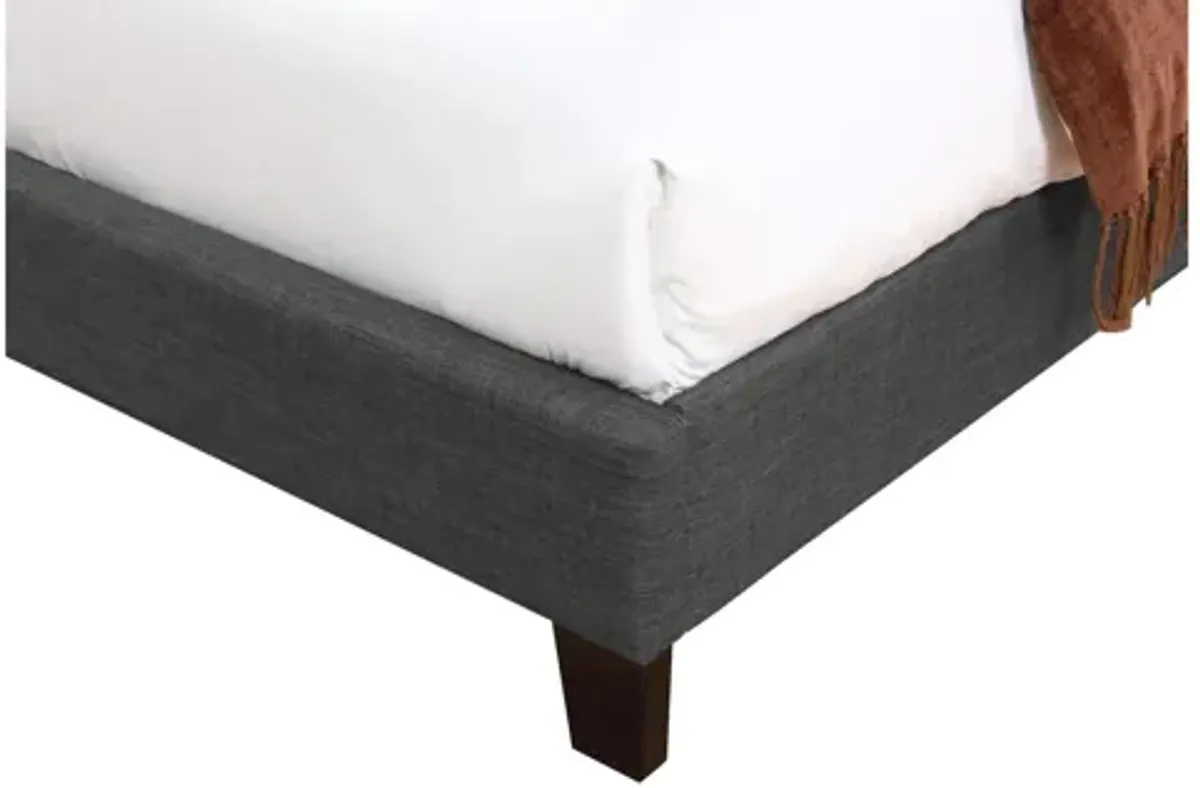 Holtzman Upholstered Bed