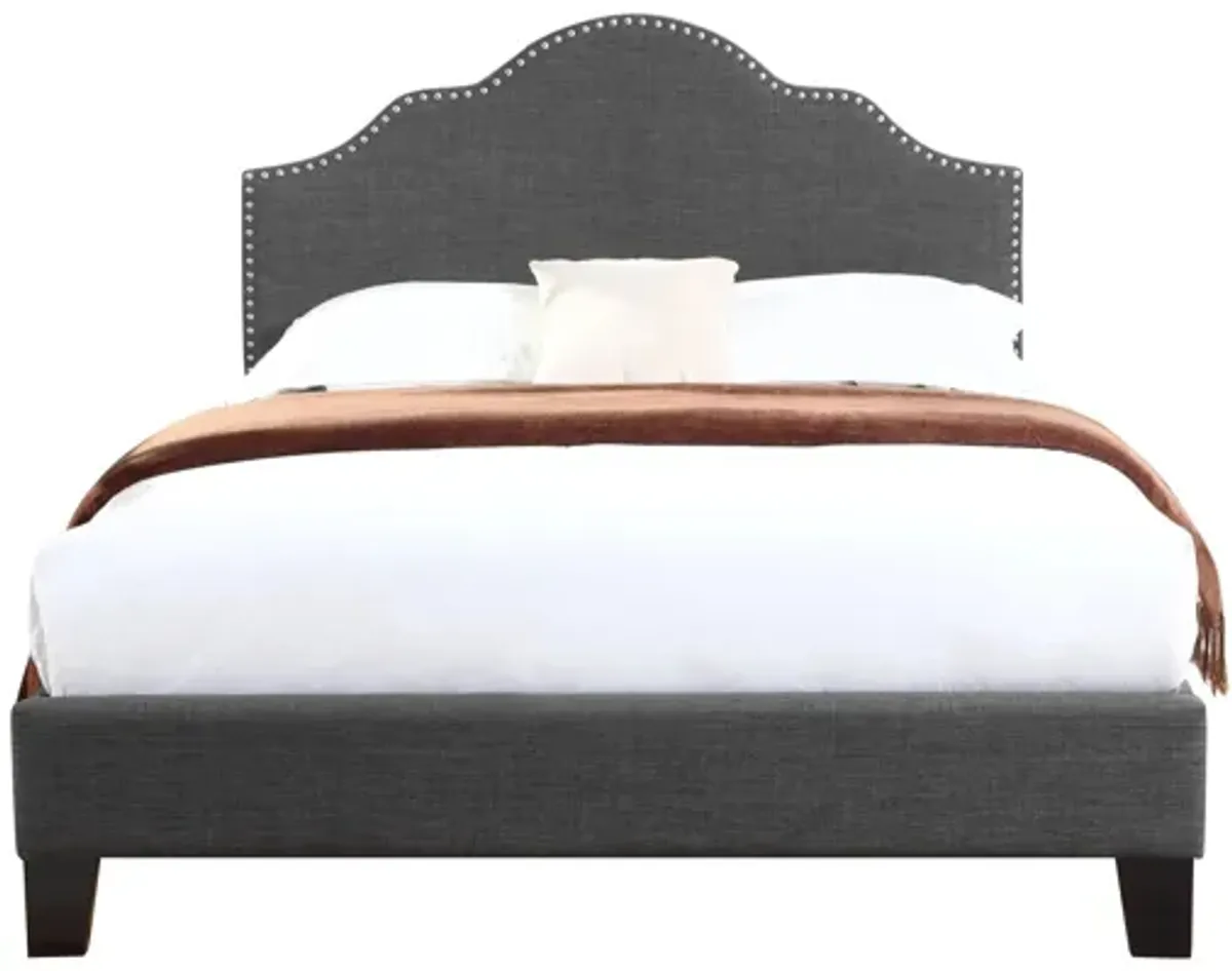 Holtzman Upholstered Bed