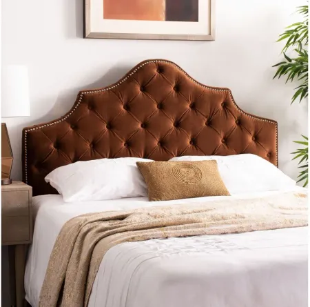 Arebelle Upholstered Headboard in Chocolate by Safavieh