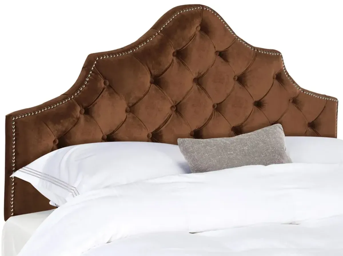 Arebelle Upholstered Headboard in Chocolate by Safavieh