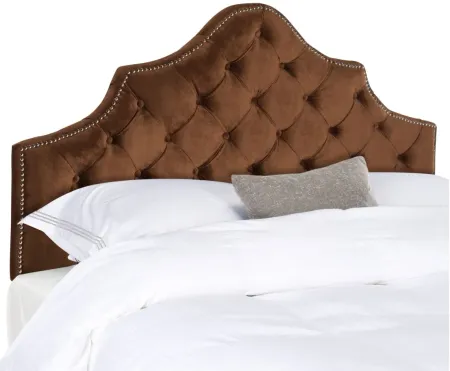 Arebelle Upholstered Headboard in Chocolate by Safavieh