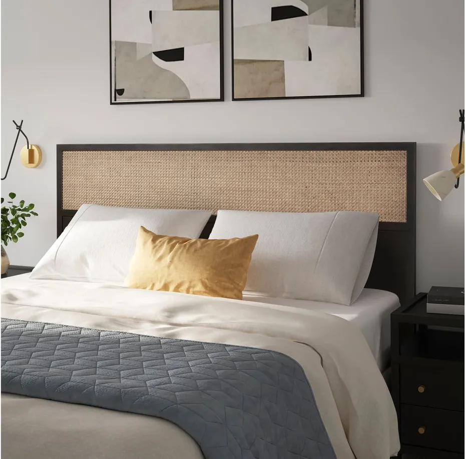 Caine Queen Headboard in Black by New Pacific Direct