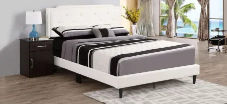 Deb Upholstered Bed in White by Glory Furniture