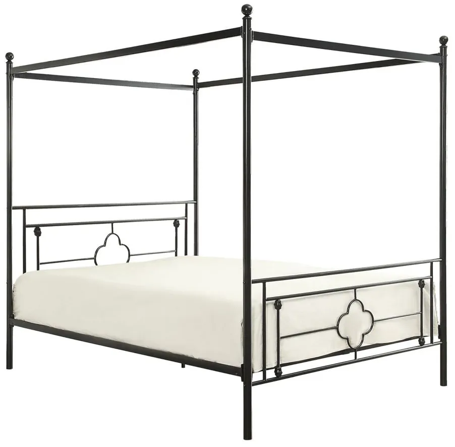 Grayton Canopy Platform Bed in Black by Homelegance