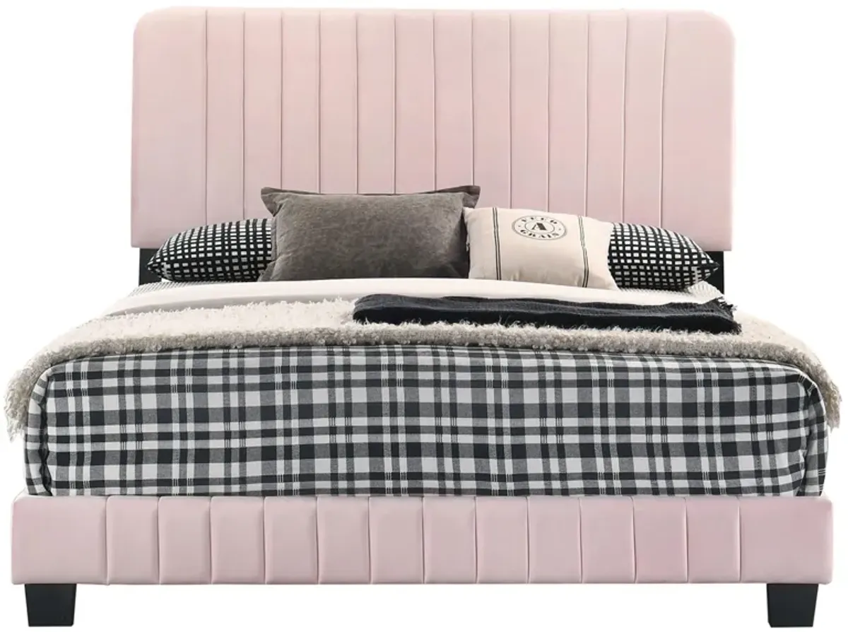 Lodi Upholstered Panel Bed in Pink by Glory Furniture