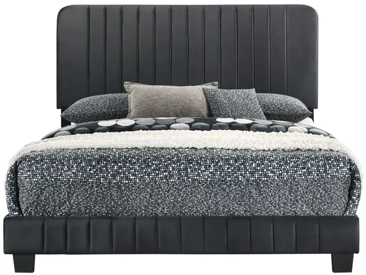 Lodi Upholstered Panel Bed in Black by Glory Furniture