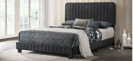 Lodi Upholstered Panel Bed in Black by Glory Furniture