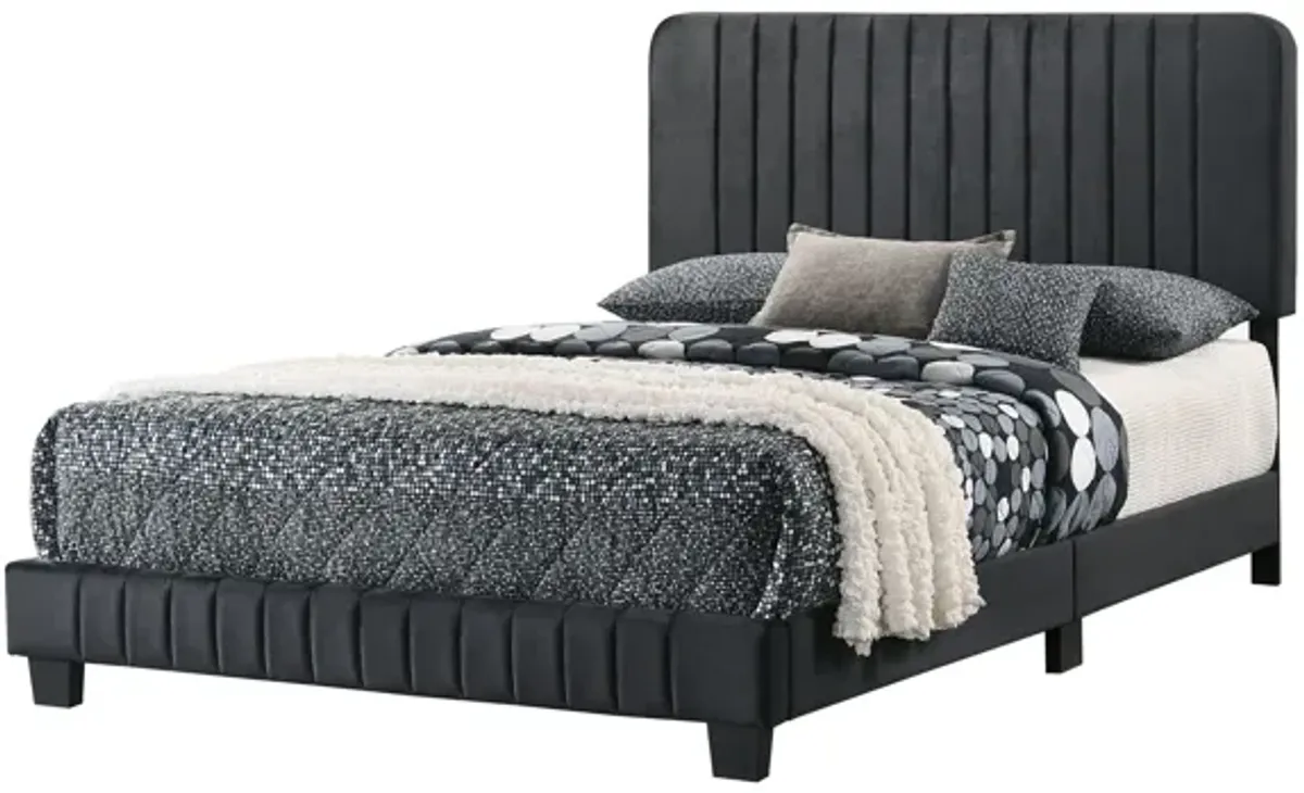 Lodi Upholstered Panel Bed