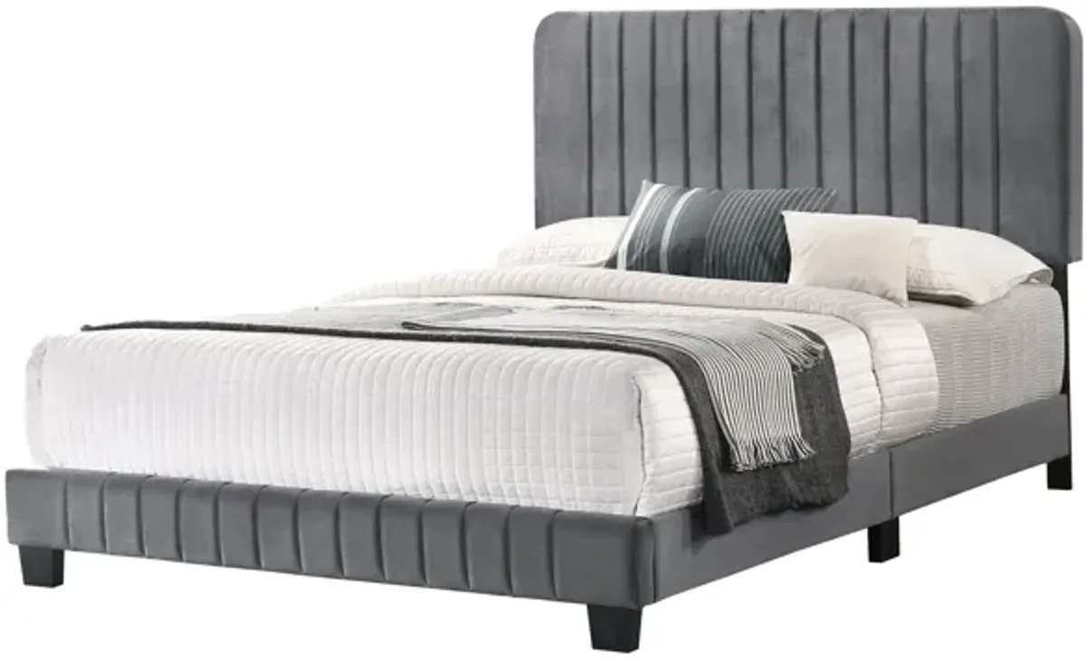 Lodi Upholstered Panel Bed