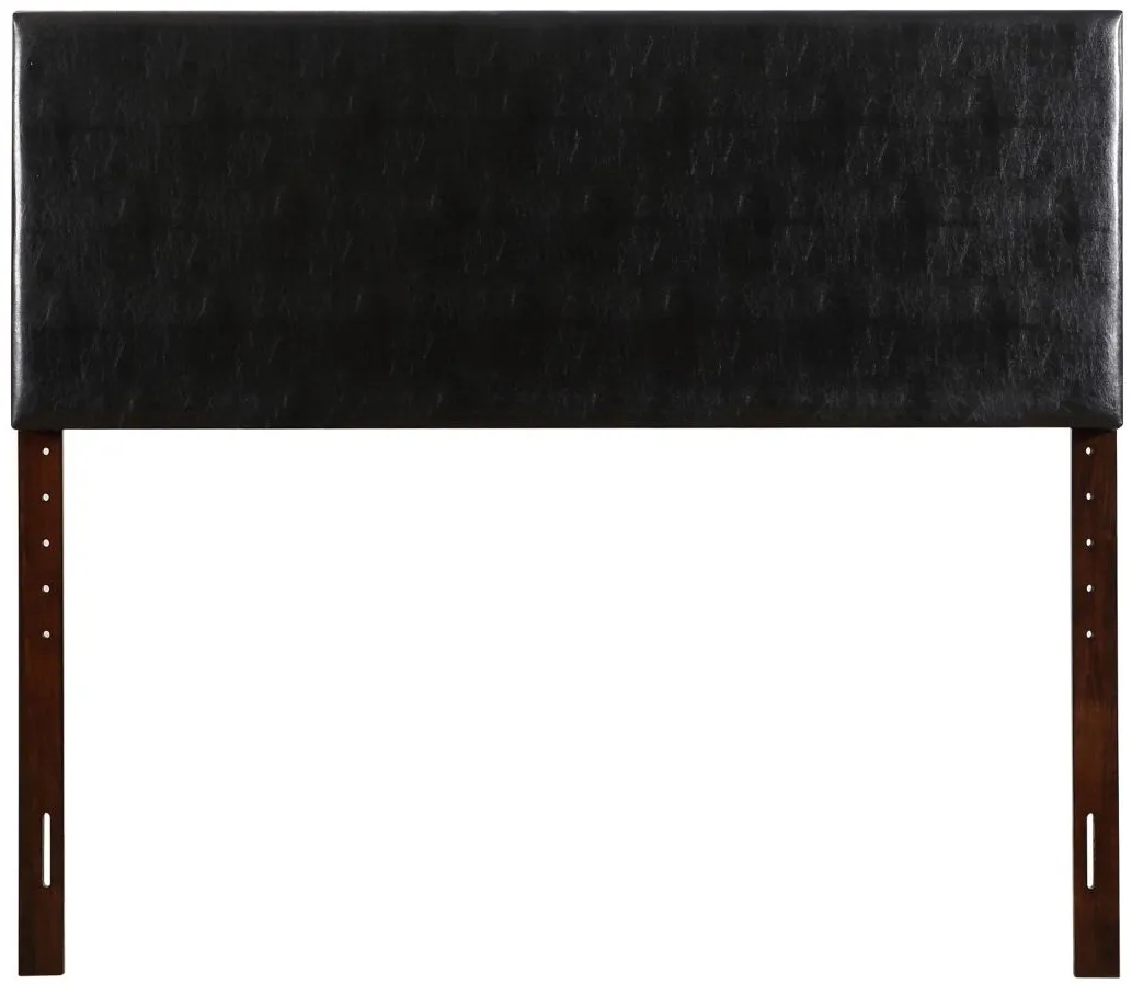 Nova Queen Headboard in BLACK by Glory Furniture