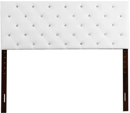 Nova Queen Headboard in WHITE by Glory Furniture