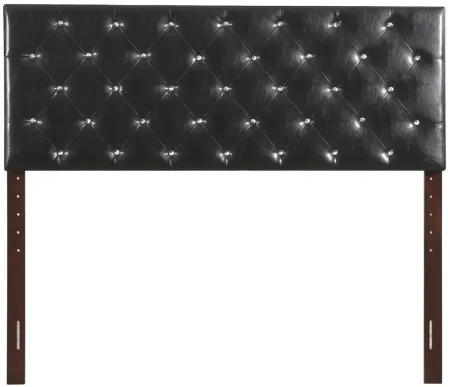 Super Nova Queen Headboard in BLACK by Glory Furniture