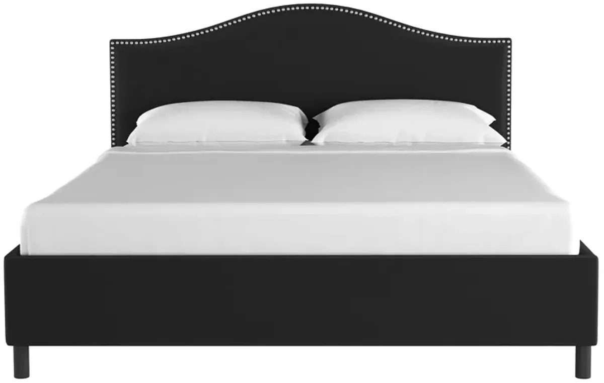 Alexander Platform Bed in Velvet Black by Skyline