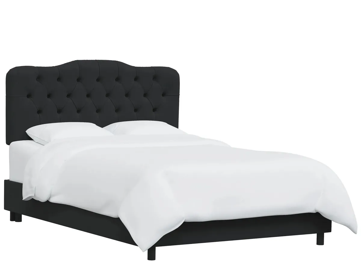 Argona Bed in Velvet Black by Skyline