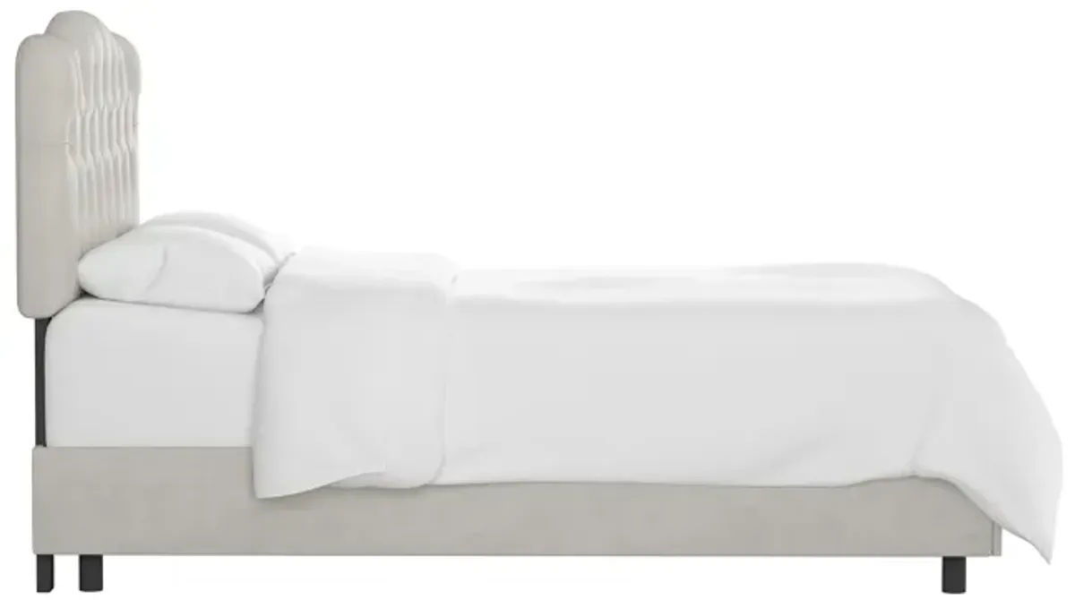 Argona Bed