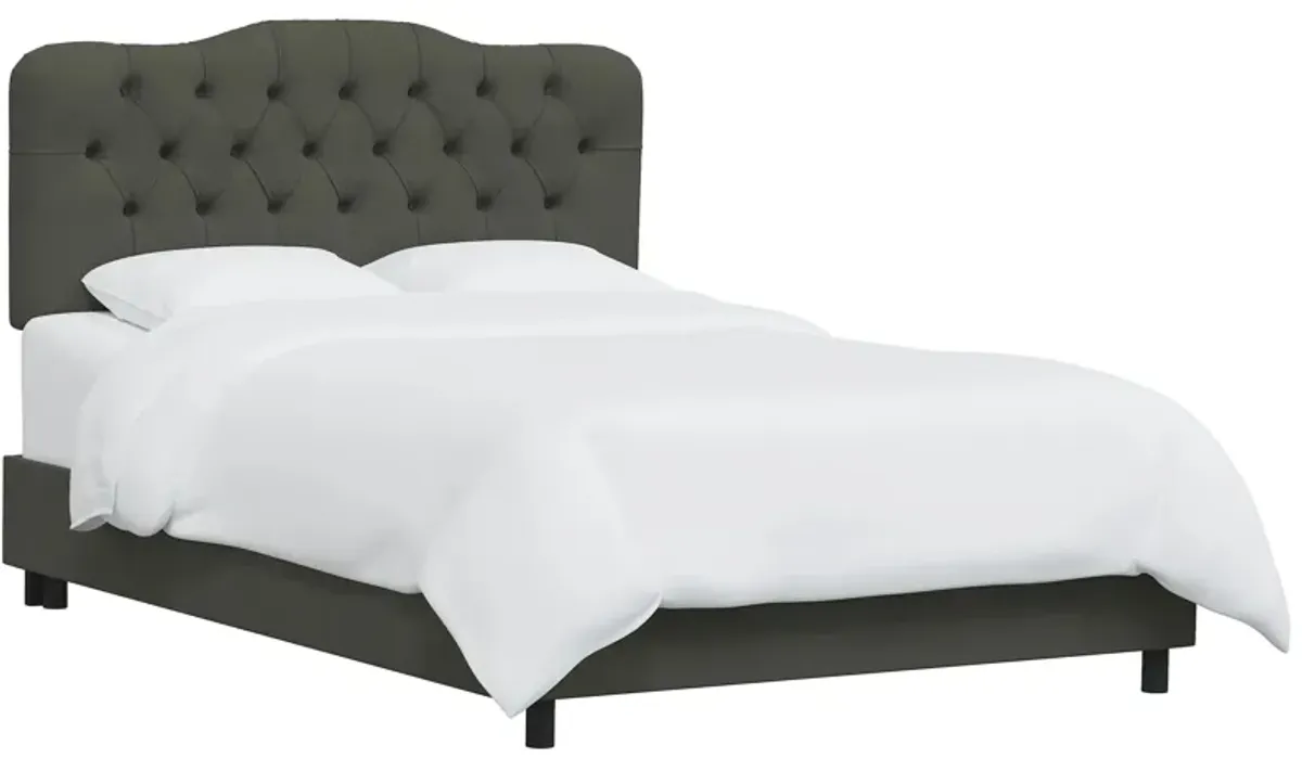 Argona Bed in Velvet Pewter by Skyline