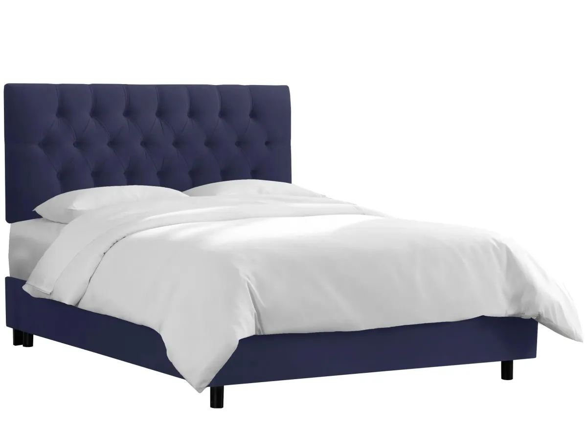 Blanchard Bed in Velvet Navy by Skyline