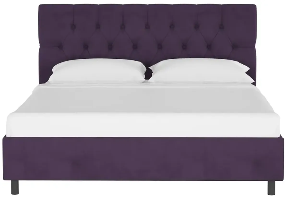 Blanchard Platform Bed in Velvet Aubergine by Skyline