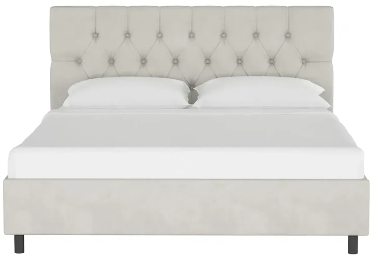 Blanchard Platform Bed in Velvet Light Gray by Skyline