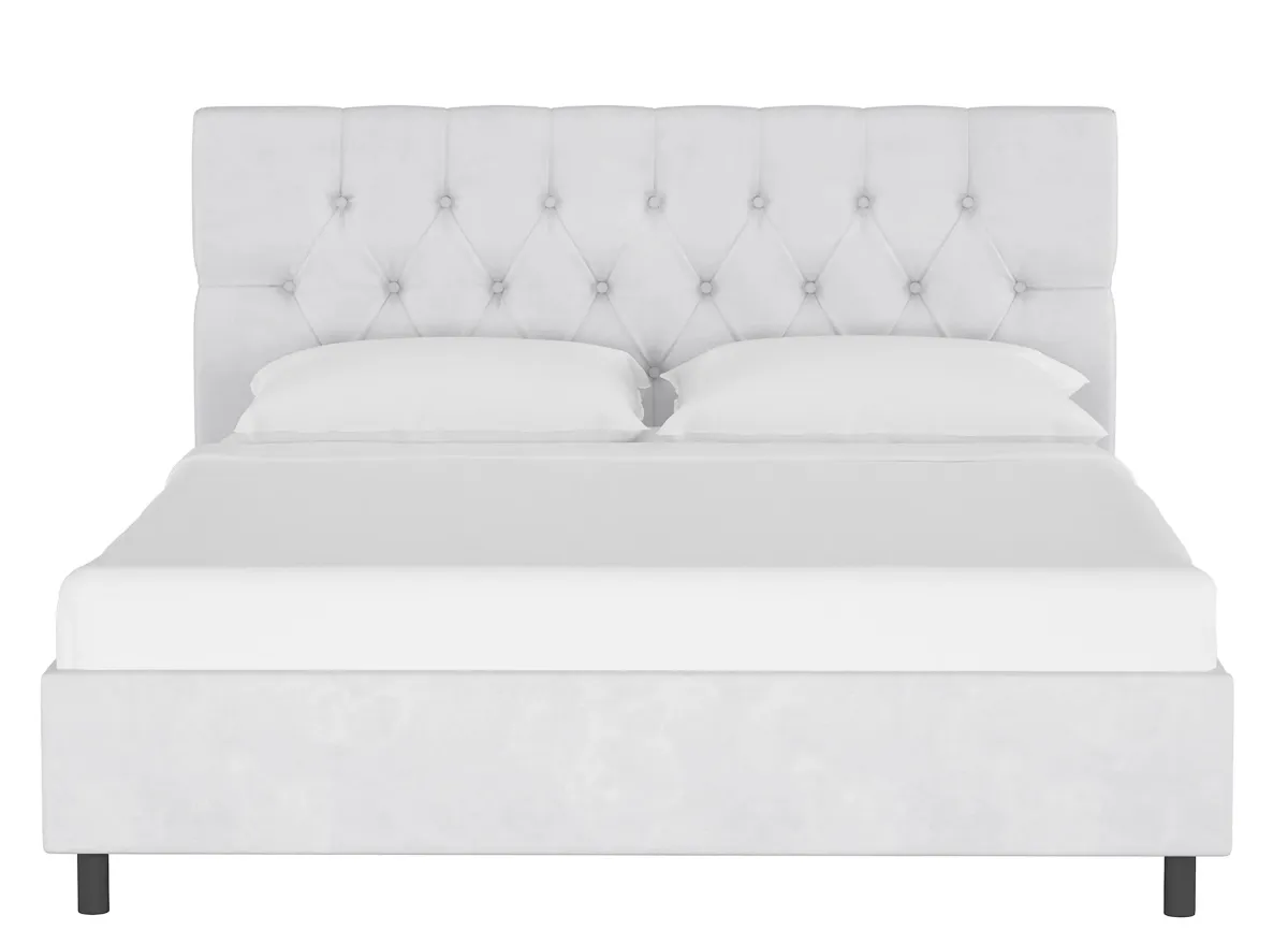 Blanchard Platform Bed in Velvet White by Skyline