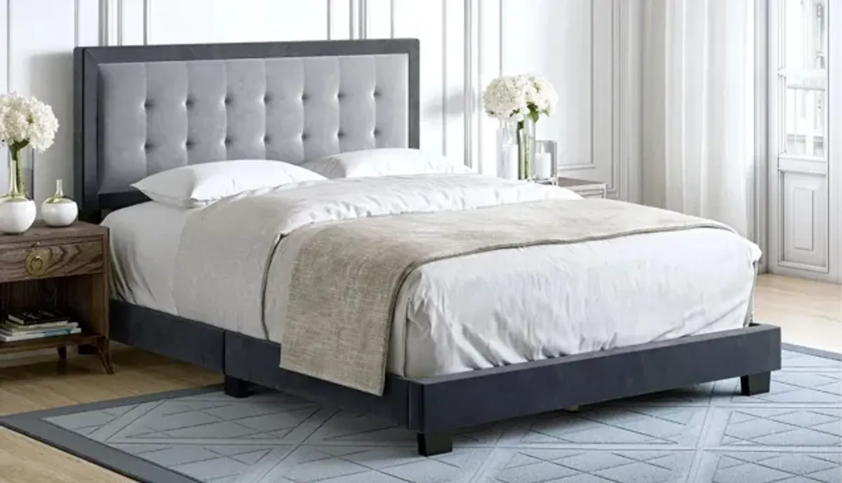 Paterson Velour Velvet Touch Platform Bed