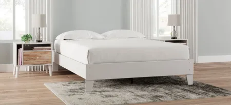 Piperton Platform Bed in White by Ashley Express