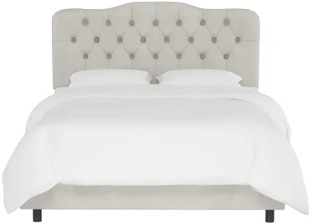 Argona Bed in Velvet Light Gray by Skyline