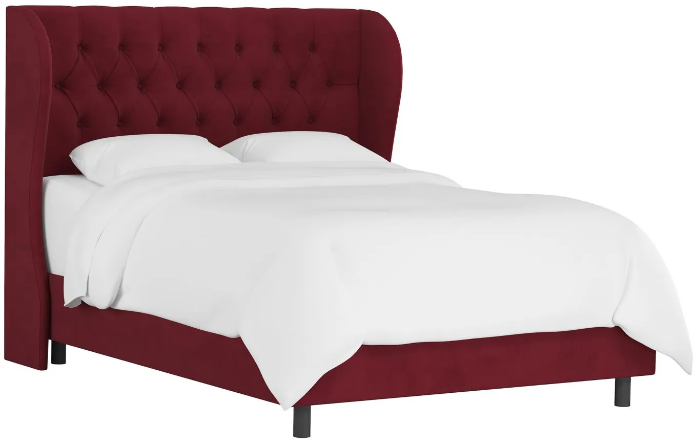Thayer Wingback Bed in Velvet Berry by Skyline