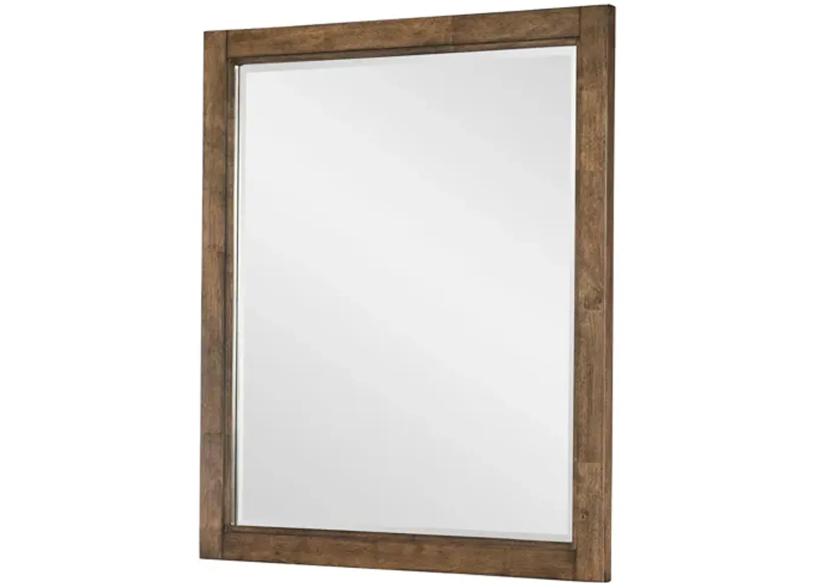 Summer Camp Vertical Mirror in Tree House Brown by Legacy Classic Furniture