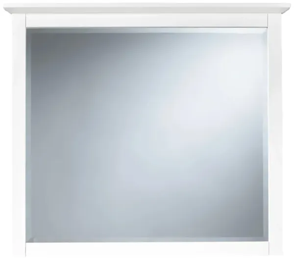 Tompkins Bedroom Dresser Mirror