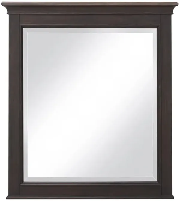 Dakota Mirror